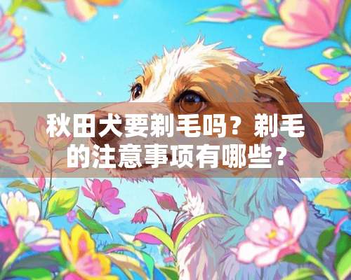 秋田犬要剃毛吗？剃毛的注意事项有哪些？