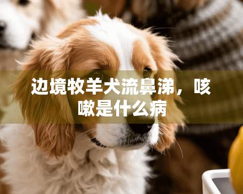 边境牧羊犬流鼻涕，咳嗽是什么病