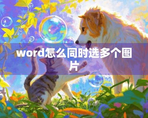 word怎么同时选多个图片