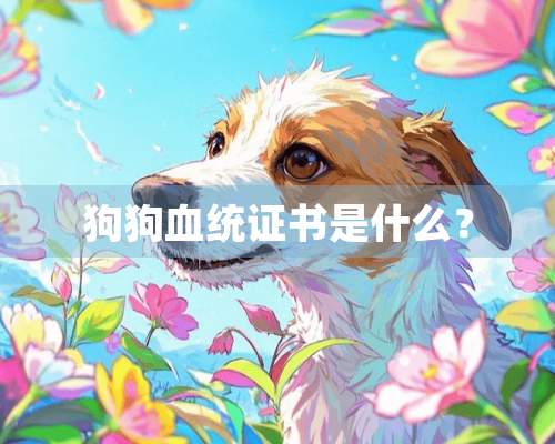 狗狗血统证书是什么？