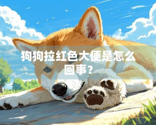 狗狗拉红色大便是怎么回事？