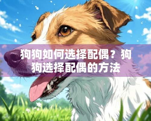 狗狗如何选择配偶？狗狗选择配偶的方法