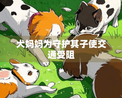 犬妈妈为守护其子使交通受阻