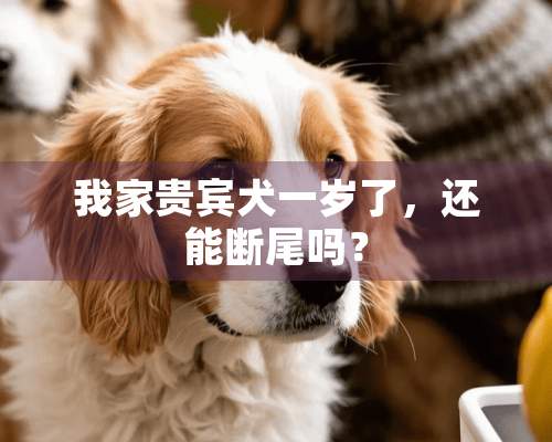 我家贵宾犬一岁了，还能断尾吗？