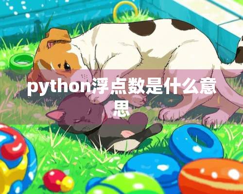 python浮点数是什么意思