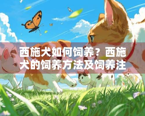 西施犬如何饲养？西施犬的饲养方法及饲养注意事项