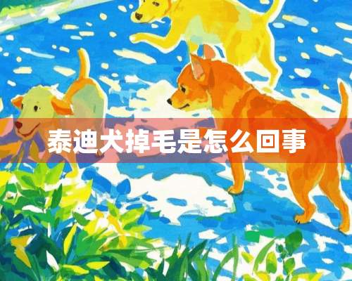 泰迪犬掉毛是怎么回事