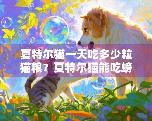 夏特尔猫一天吃多少粒猫粮？夏特尔猫能吃螃蟹吗？