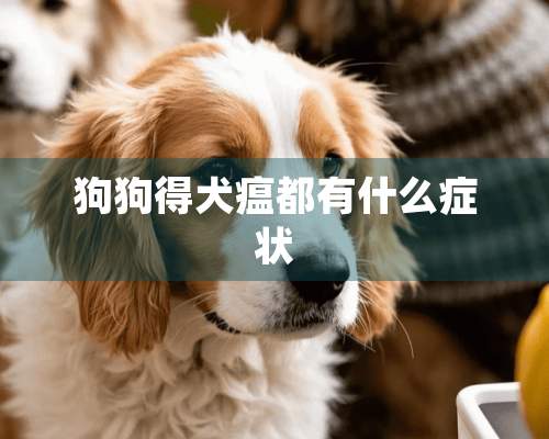 狗狗得犬瘟都有什么症状