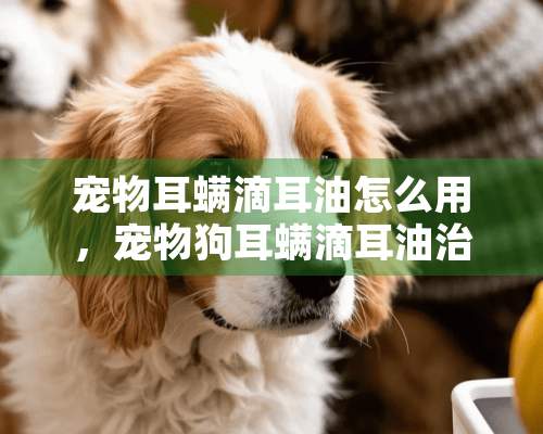 宠物耳螨滴耳油怎么用，宠物狗耳螨滴耳油治耳螨怎么用