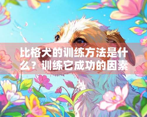 比格犬的训练方法是什么？训练它成功的因素有哪些？