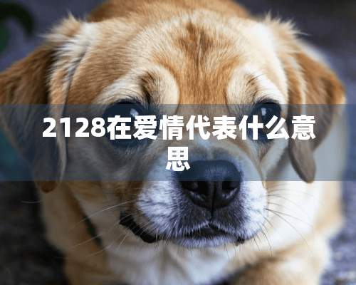 2128在爱情代表什么意思