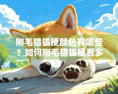 刚毛猎狐梗颜色有哪些？如何刚毛猎狐梗看多大（犬龄）？