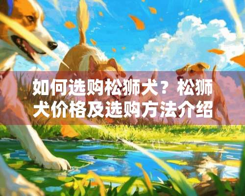 如何选购松狮犬？松狮犬价格及选购方法介绍！