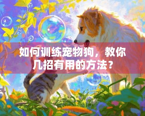 如何训练宠物狗，教你几招有用的方法？