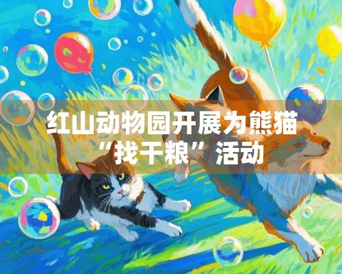 红山动物园开展为熊猫“找干粮”活动