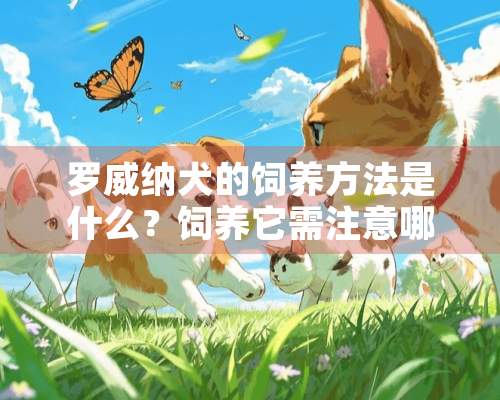 罗威纳犬的饲养方法是什么？饲养它需注意哪些事项？