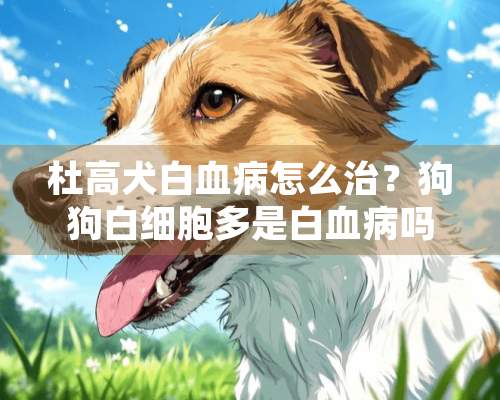 杜高犬白血病怎么治？狗狗白细胞多是白血病吗？