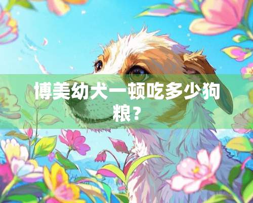 博**犬一顿吃多少狗粮？