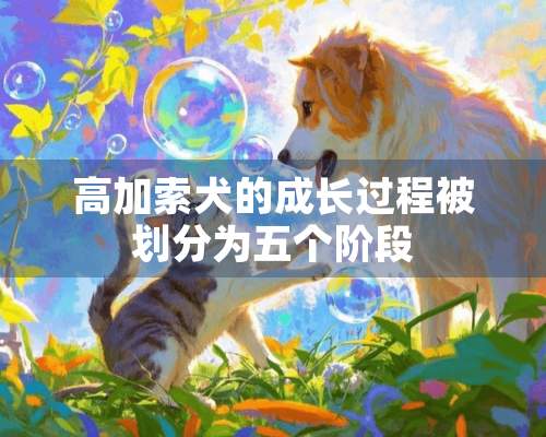 高加索犬的成长过程被划分为五个阶段