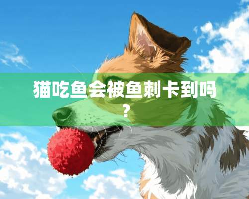 猫吃鱼会被鱼刺卡到吗？