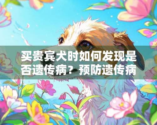 买贵宾犬时如何发现是否遗传病？预防遗传病的方法有哪些？