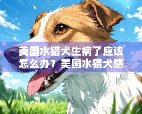 美国水猎犬生病了应该怎么办？美国水猎犬感冒发烧呕吐的治疗方法！