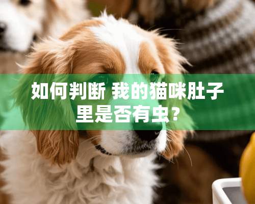 如何判断 我的猫咪肚子里是否有虫？