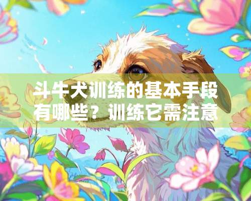 斗牛犬训练的基本手段有哪些？训练它需注意什么？