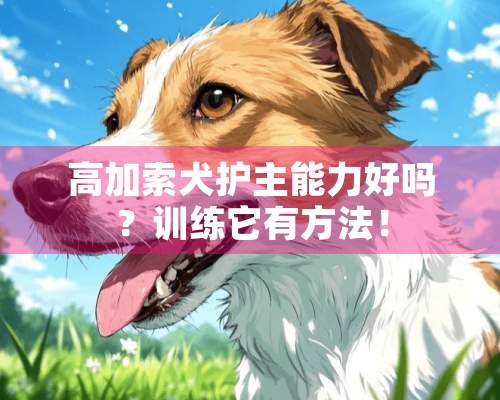 高加索犬护主能力好吗？训练它有方法！