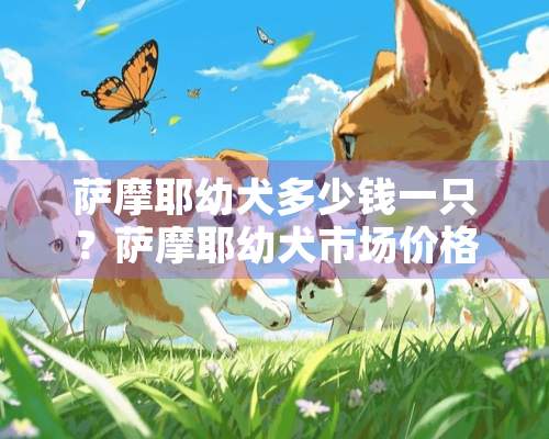 萨摩耶幼犬多少钱一只？萨摩耶幼犬市场价格