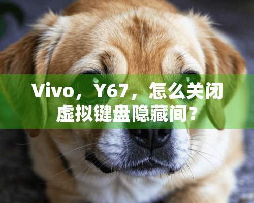 Vivo，Y67，怎么关闭虚拟键盘隐藏间？