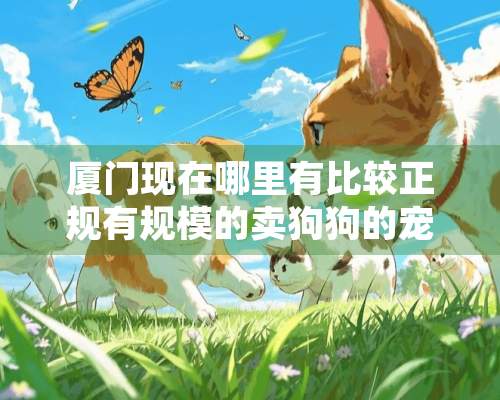 厦门现在哪里有比较正规有规模的卖狗狗的宠物店或者犬舍？岛内外都可以 必须要正规 最好是有全国连锁的