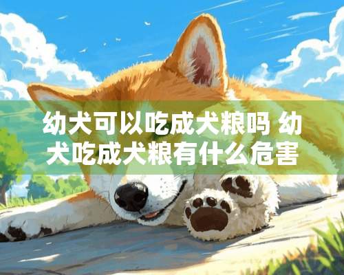 幼犬可以吃成犬粮吗 幼犬吃成犬粮有什么危害