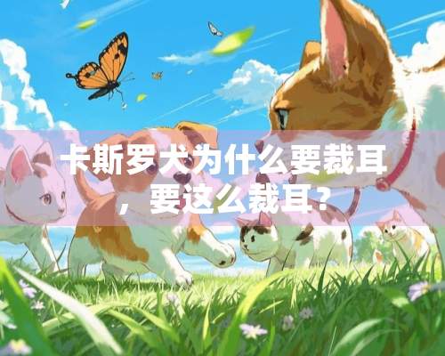 卡斯罗犬为什么要裁耳，要这么裁耳？