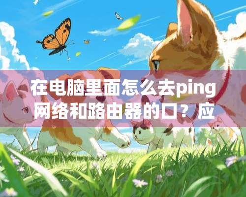 在电脑里面怎么去ping网络和路由器的口？应该怎么打什么去ping？