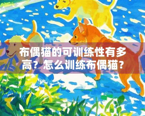 布偶猫的可训练性有多高？怎么训练布偶猫？