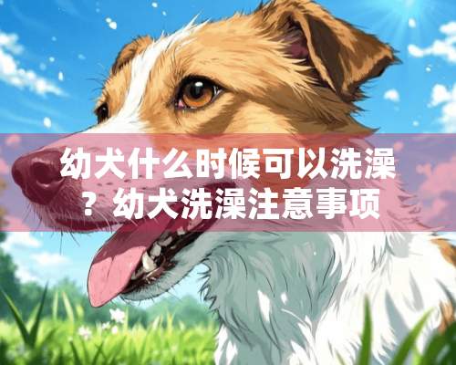 幼犬什么时候可以洗澡？幼犬洗澡注意事项