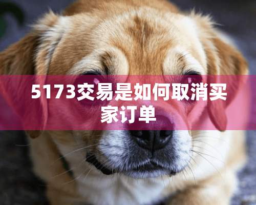 5173交易是如何取消买家订单