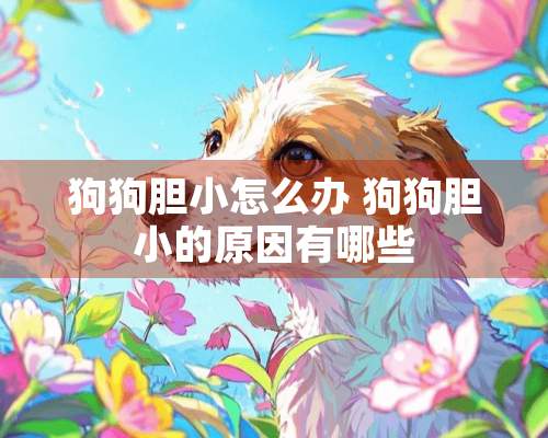 狗狗胆小怎么办 狗狗胆小的原因有哪些