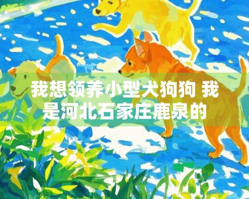 我想领养小型犬狗狗 我是河北石家庄鹿泉的