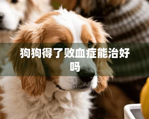 狗狗得了败血症能治好吗