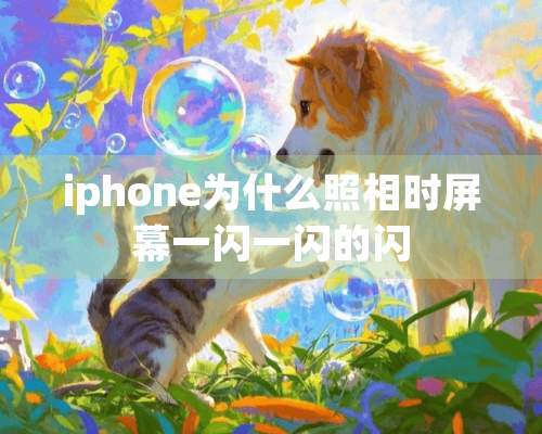 iphone为什么照相时屏幕一闪一闪的闪