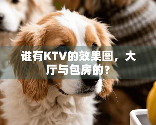 谁有KTV的效果图，大厅与包房的？