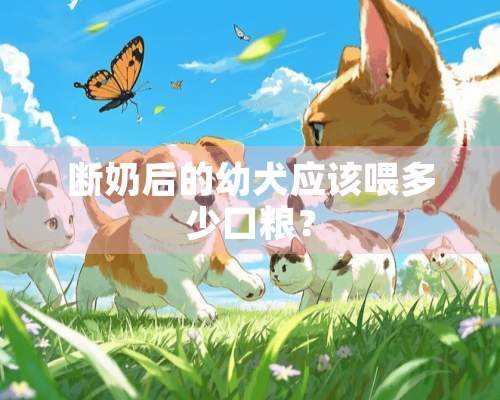 断奶后的幼犬应该喂多少口粮？