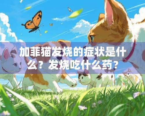 加菲猫发烧的症状是什么？发烧吃什么药？