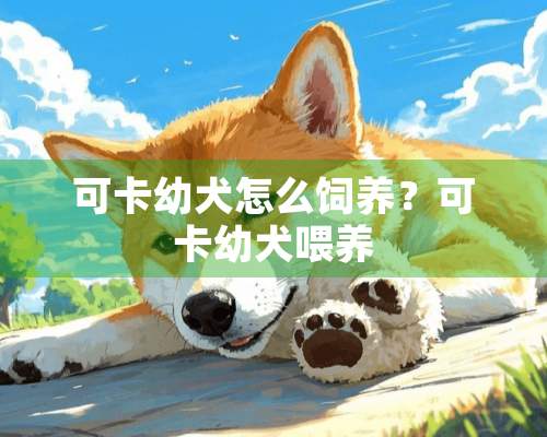 可卡幼犬怎么饲养？可卡幼犬喂养