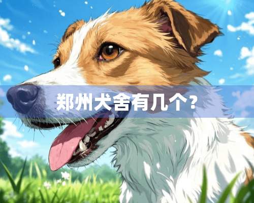 郑州犬舍有几个？