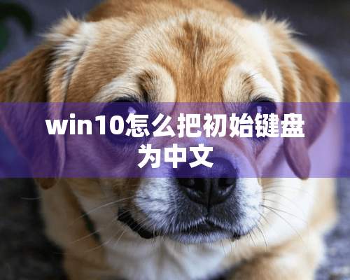 win10怎么把初始键盘为中文