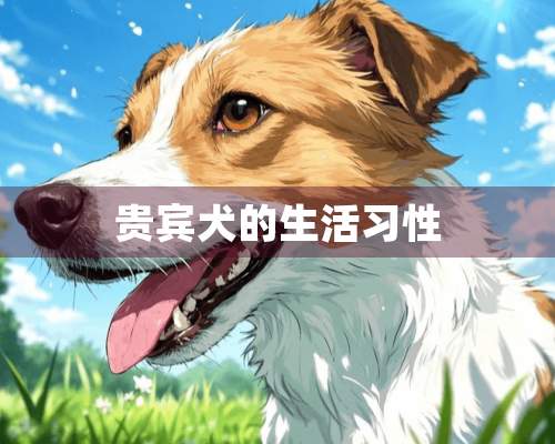 贵宾犬的生活习性